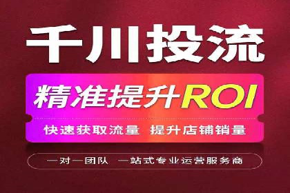顶级SEM运营公司案例分析